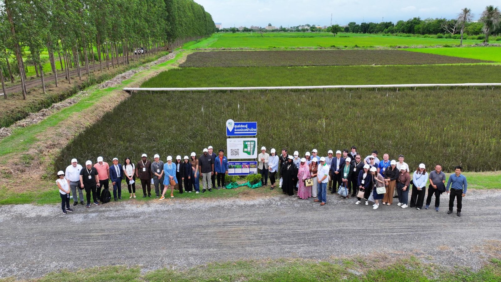 Thailand Rice Convention 2025