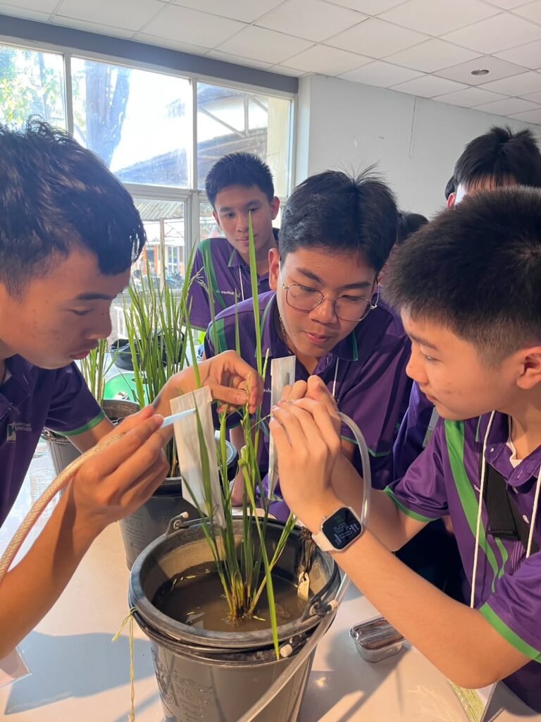 ศูนย์วิทยาศาสตร์ข้าว มก. ร่วมจัดกิจกรรมค่ายเกษตรและเทคโนโลยี เสริมสร้างการเรียนรู้ด้านวิทยาศาสตร์การเกษตร