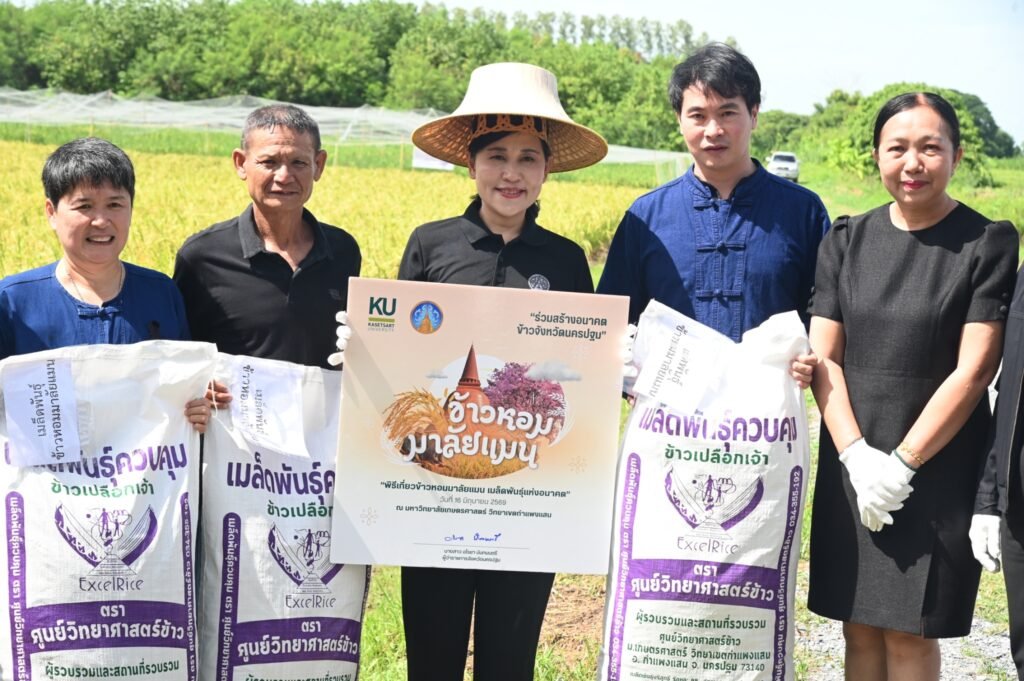 16 มิถุนายน 2569 ศูนย์วิทยาศาสตร์ข้าว มหาวิทยาลัยเกษตรศาสตร์ วิทยาเขตกำแพงแสน จัดพิธีส่งต่อเมล็ดพันธุ์แห่งอนาคต “ข้าวหอมมาลัยแมน : จากงานวิ…