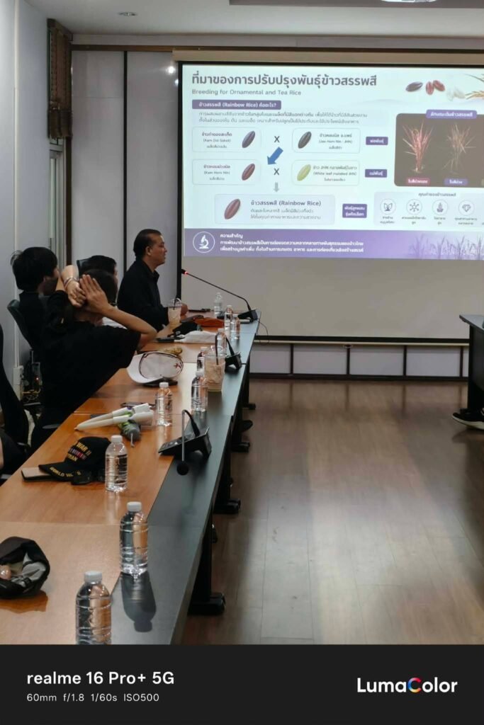 ศูนย์วิทยาศาสตร์ข้าว มก.กำแพงแสน ต้อนรับคณาจารย์วิทยาลัยดุสิตธานี ศึกษาดูงานนวัตกรรมข้าวและการเพิ่มมูลค่าผลผลิตทางการเกษตร