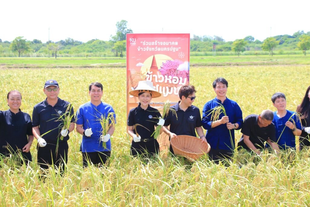 16 มิถุนายน 2569 ศูนย์วิทยาศาสตร์ข้าว มหาวิทยาลัยเกษตรศาสตร์ วิทยาเขตกำแพงแสน จัดพิธีส่งต่อเมล็ดพันธุ์แห่งอนาคต “ข้าวหอมมาลัยแมน : จากงานวิ…