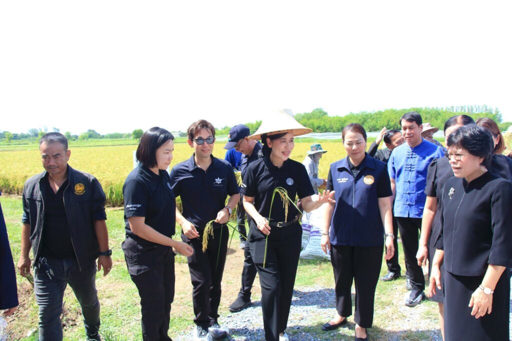 16 มิถุนายน 2569 ศูนย์วิทยาศาสตร์ข้าว มหาวิทยาลัยเกษตรศาสตร์ วิทยาเขตกำแพงแสน จัดพิธีส่งต่อเมล็ดพันธุ์แห่งอนาคต “ข้าวหอมมาลัยแมน : จากงานวิ…