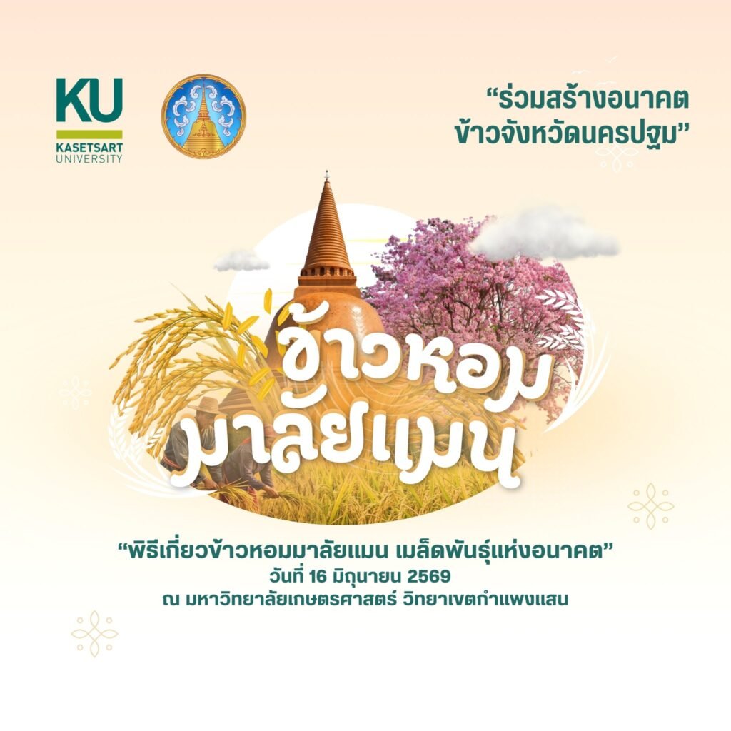 16 มิถุนายน 2569 ศูนย์วิทยาศาสตร์ข้าว มหาวิทยาลัยเกษตรศาสตร์ วิทยาเขตกำแพงแสน จัดพิธีส่งต่อเมล็ดพันธุ์แห่งอนาคต “ข้าวหอมมาลัยแมน : จากงานวิ…