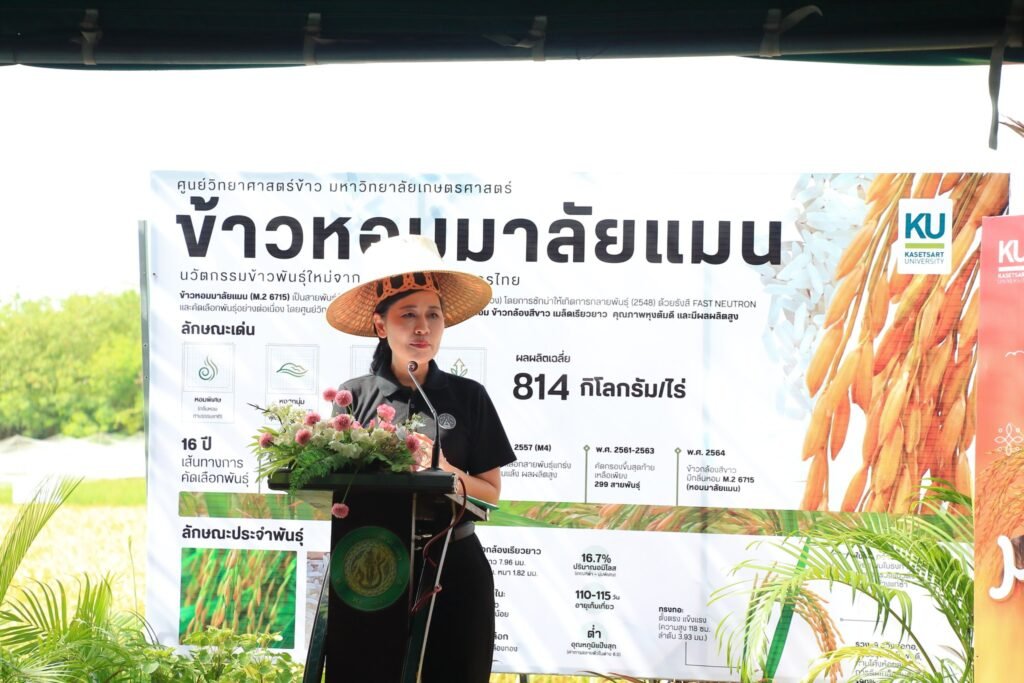 16 มิถุนายน 2569 ศูนย์วิทยาศาสตร์ข้าว มหาวิทยาลัยเกษตรศาสตร์ วิทยาเขตกำแพงแสน จัดพิธีส่งต่อเมล็ดพันธุ์แห่งอนาคต “ข้าวหอมมาลัยแมน : จากงานวิ…