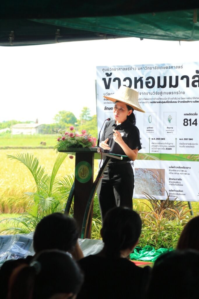 16 มิถุนายน 2569 ศูนย์วิทยาศาสตร์ข้าว มหาวิทยาลัยเกษตรศาสตร์ วิทยาเขตกำแพงแสน จัดพิธีส่งต่อเมล็ดพันธุ์แห่งอนาคต “ข้าวหอมมาลัยแมน : จากงานวิ…