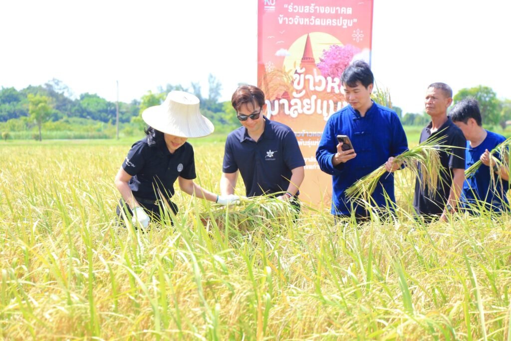 16 มิถุนายน 2569 ศูนย์วิทยาศาสตร์ข้าว มหาวิทยาลัยเกษตรศาสตร์ วิทยาเขตกำแพงแสน จัดพิธีส่งต่อเมล็ดพันธุ์แห่งอนาคต “ข้าวหอมมาลัยแมน : จากงานวิ…