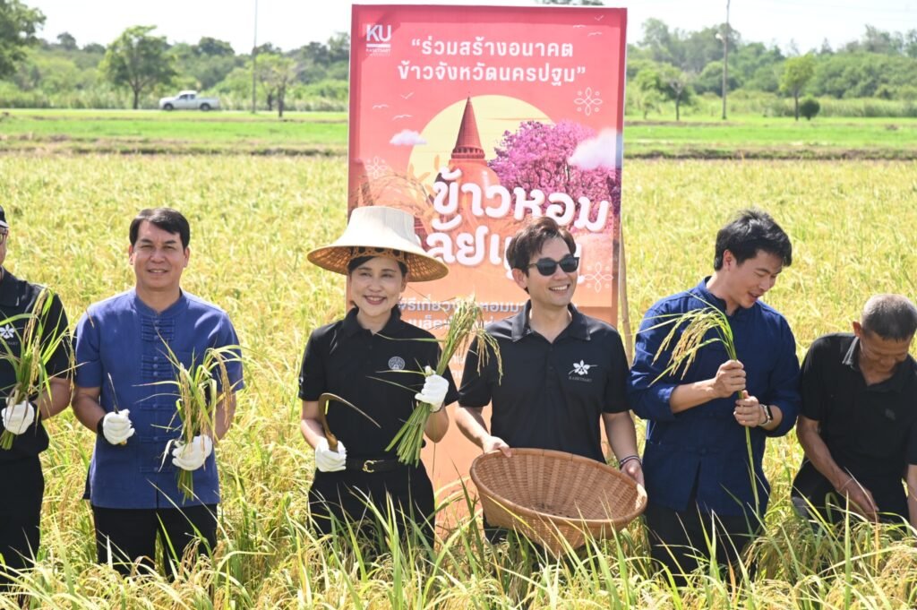 16 มิถุนายน 2569 ศูนย์วิทยาศาสตร์ข้าว มหาวิทยาลัยเกษตรศาสตร์ วิทยาเขตกำแพงแสน จัดพิธีส่งต่อเมล็ดพันธุ์แห่งอนาคต “ข้าวหอมมาลัยแมน : จากงานวิ…