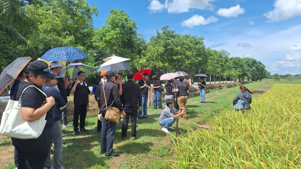 ศูนย์วิทยาศาสตร์ข้าว มก.กำแพงแสน ต้อนรับคณาจารย์วิทยาลัยดุสิตธานี ศึกษาดูงานนวัตกรรมข้าวและการเพิ่มมูลค่าผลผลิตทางการเกษตร