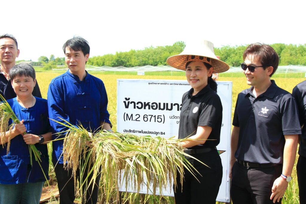 16 มิถุนายน 2569 ศูนย์วิทยาศาสตร์ข้าว มหาวิทยาลัยเกษตรศาสตร์ วิทยาเขตกำแพงแสน จัดพิธีส่งต่อเมล็ดพันธุ์แห่งอนาคต “ข้าวหอมมาลัยแมน : จากงานวิ…