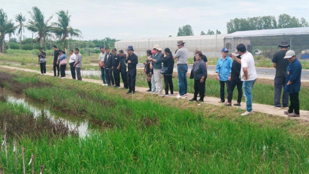 วันที่ 7 กรกฎาคม 2569 ดร.ศิริพัฒน์ เรืองพยัคฆ์ นักวิจัย ดร.กิตติ วัลยาภรณ์ นักวิจัย และนายสุมน ห้อยมาลา นักวิชาการเกษตรประจำศูนย์วิทยาศาสตร…