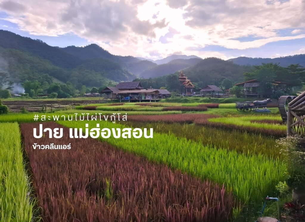 เปลี่ยนผืนนา...สู่พื้นที่แห่งการเรียนรู้ สร้างคุณค่าด้วยการท่องเที่ยว และเติบโตไปพร้อมกับสิ่งแวดล้อม