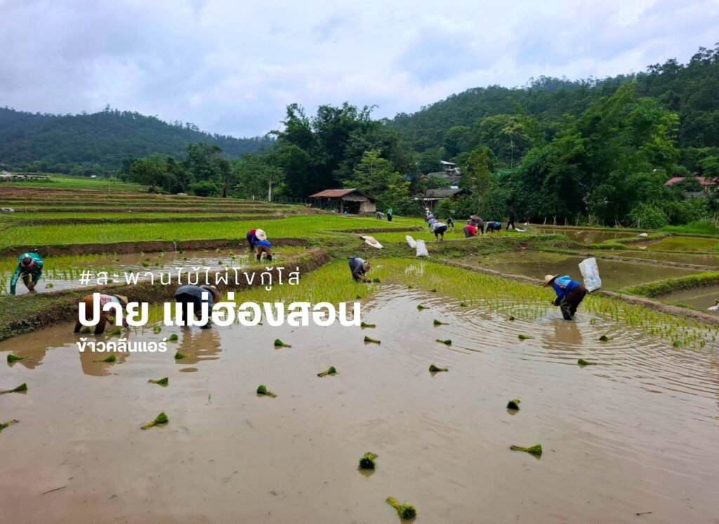 เปลี่ยนผืนนา...สู่พื้นที่แห่งการเรียนรู้ สร้างคุณค่าด้วยการท่องเที่ยว และเติบโตไปพร้อมกับสิ่งแวดล้อม