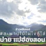 เปลี่ยนผืนนา...สู่พื้นที่แห่งการเรียนรู้ สร้างคุณค่าด้วยการท่องเที่ยว และเติบโตไปพร้อมกับสิ่งแวดล้อม