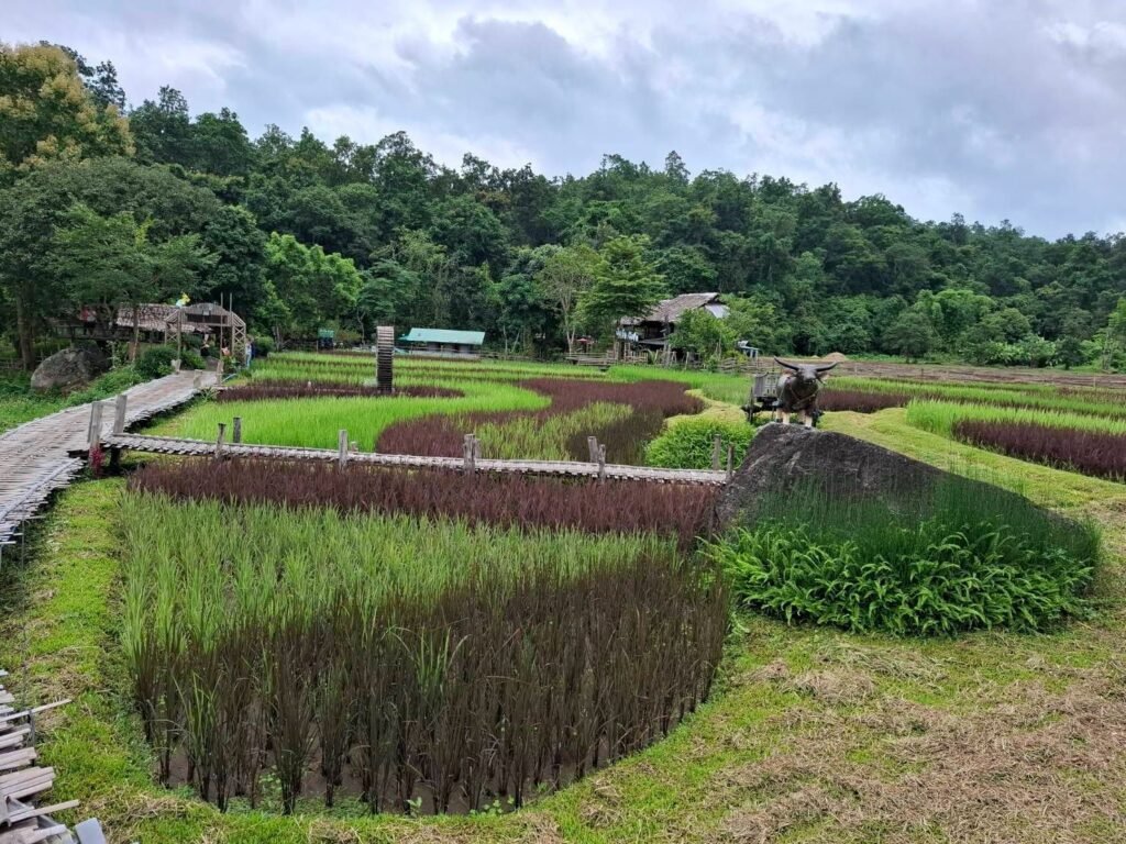 เปลี่ยนผืนนา...สู่พื้นที่แห่งการเรียนรู้ สร้างคุณค่าด้วยการท่องเที่ยว และเติบโตไปพร้อมกับสิ่งแวดล้อม