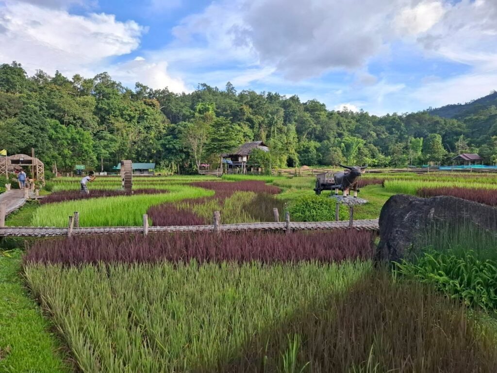 เปลี่ยนผืนนา...สู่พื้นที่แห่งการเรียนรู้ สร้างคุณค่าด้วยการท่องเที่ยว และเติบโตไปพร้อมกับสิ่งแวดล้อม