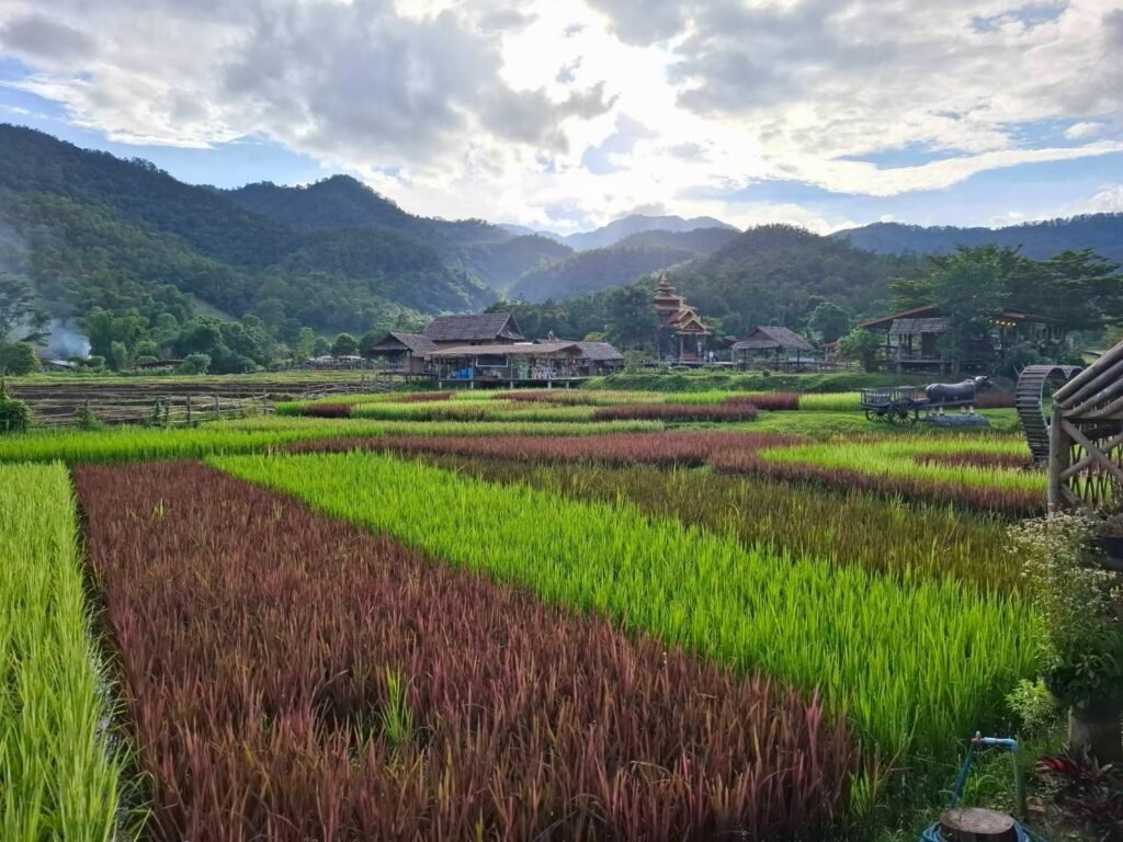 เปลี่ยนผืนนา...สู่พื้นที่แห่งการเรียนรู้ สร้างคุณค่าด้วยการท่องเที่ยว และเติบโตไปพร้อมกับสิ่งแวดล้อม