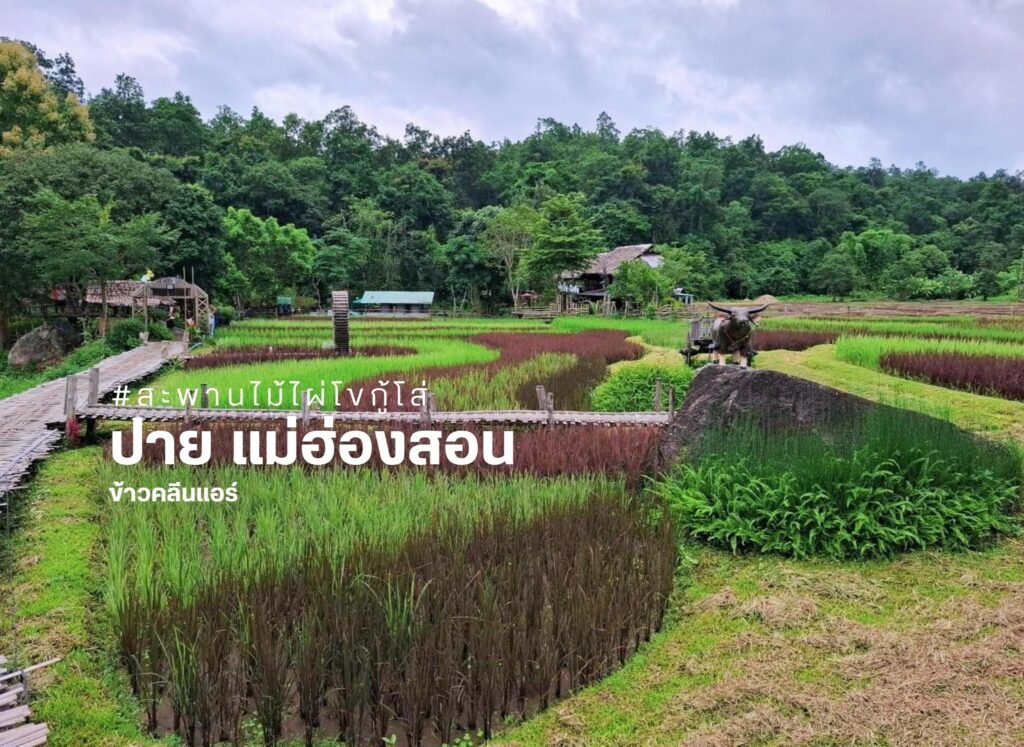 เปลี่ยนผืนนา...สู่พื้นที่แห่งการเรียนรู้ สร้างคุณค่าด้วยการท่องเที่ยว และเติบโตไปพร้อมกับสิ่งแวดล้อม