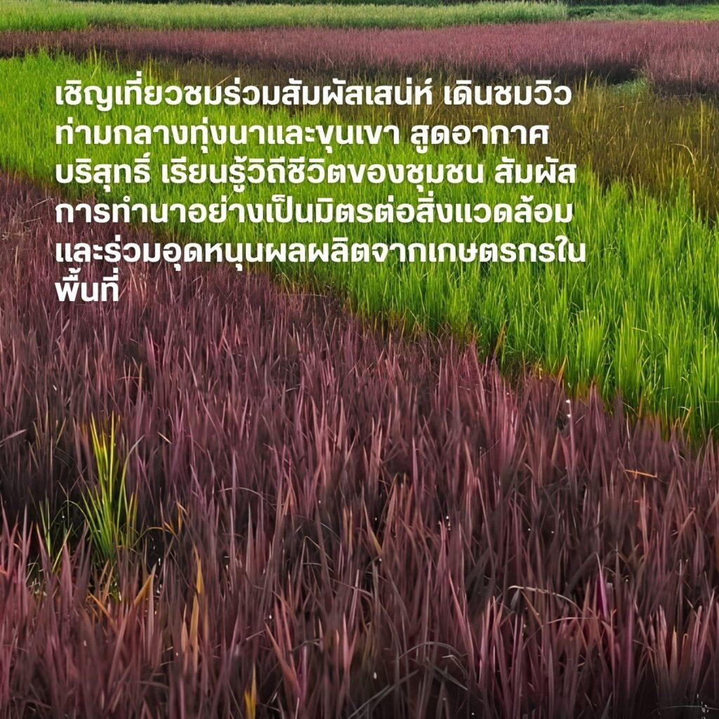 เปลี่ยนผืนนา...สู่พื้นที่แห่งการเรียนรู้ สร้างคุณค่าด้วยการท่องเที่ยว และเติบโตไปพร้อมกับสิ่งแวดล้อม