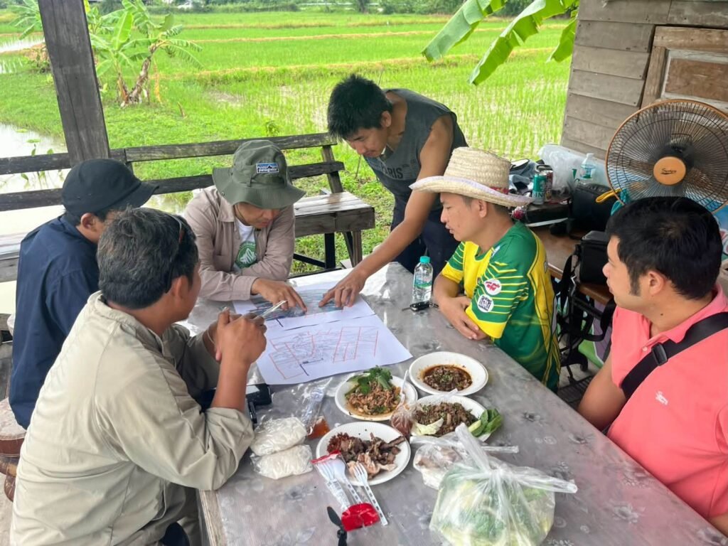 🌾“ข้าวคลีนแอร์” เปลี่ยนนาผืนเดิม ให้เป็นงานศิลปะ