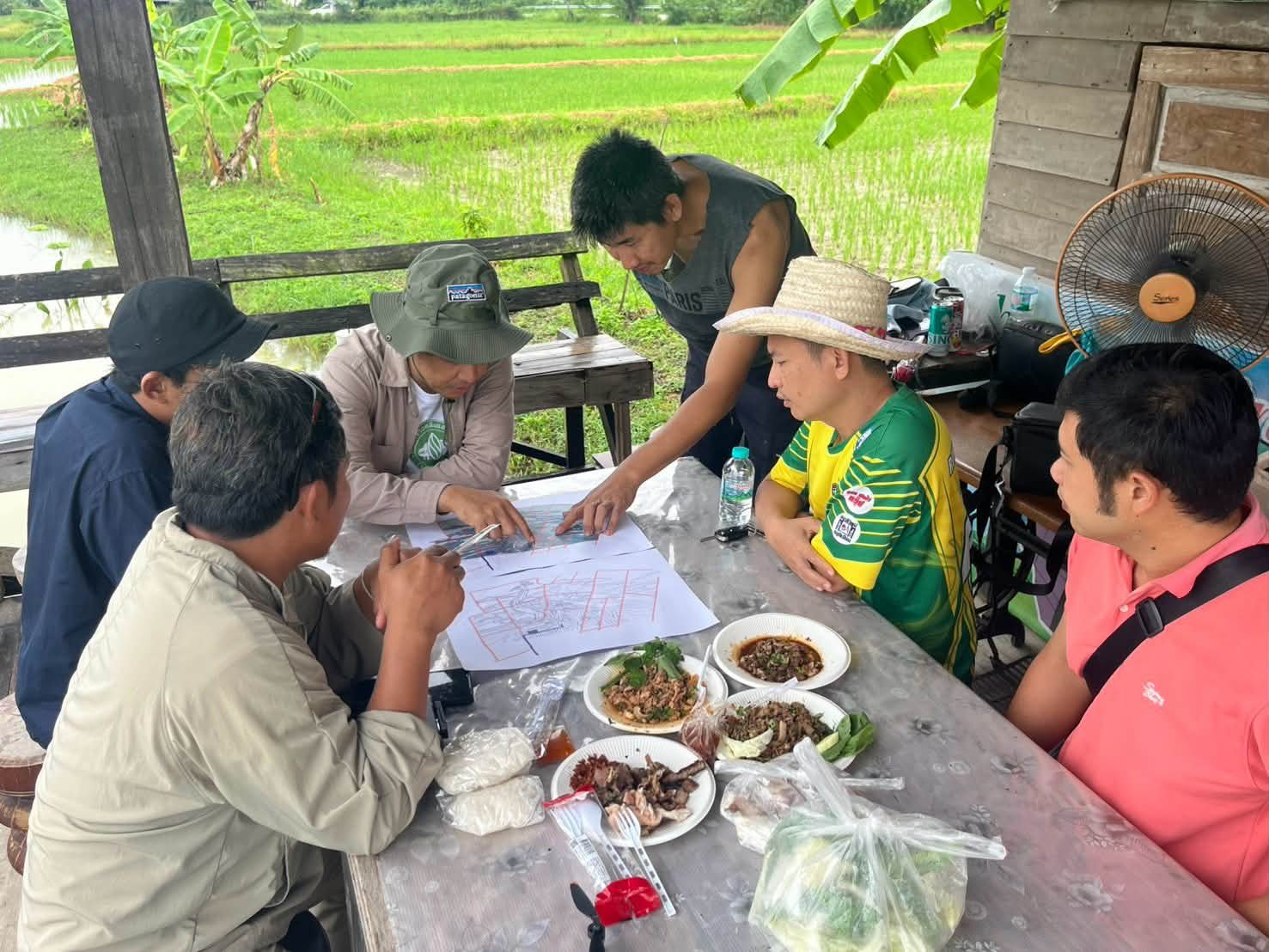 🌾“ข้าวคลีนแอร์” เปลี่ยนนาผืนเดิม ให้เป็นงานศิลปะ