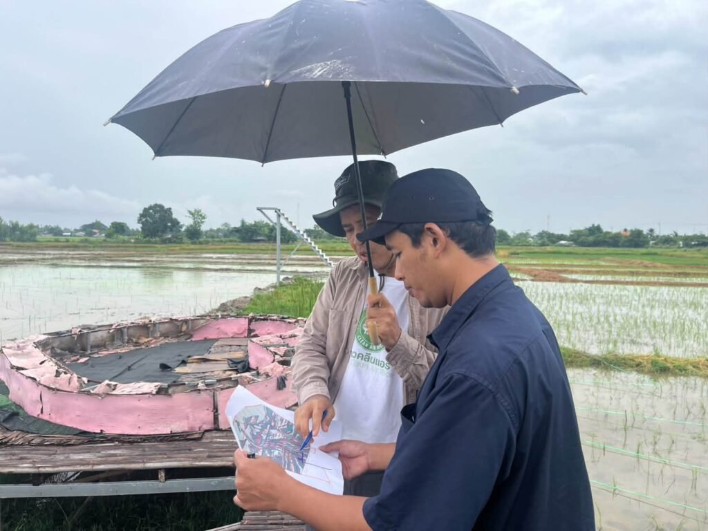 🌾“ข้าวคลีนแอร์” เปลี่ยนนาผืนเดิม ให้เป็นงานศิลปะ