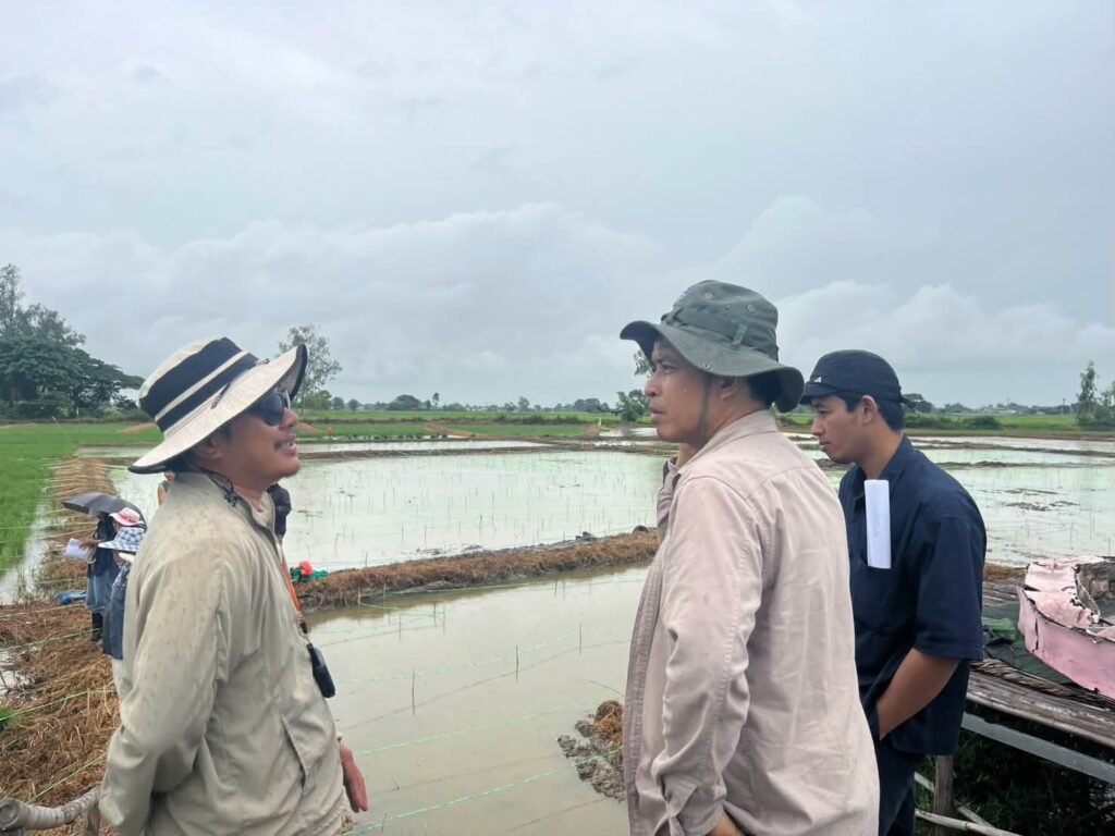 🌾“ข้าวคลีนแอร์” เปลี่ยนนาผืนเดิม ให้เป็นงานศิลปะ