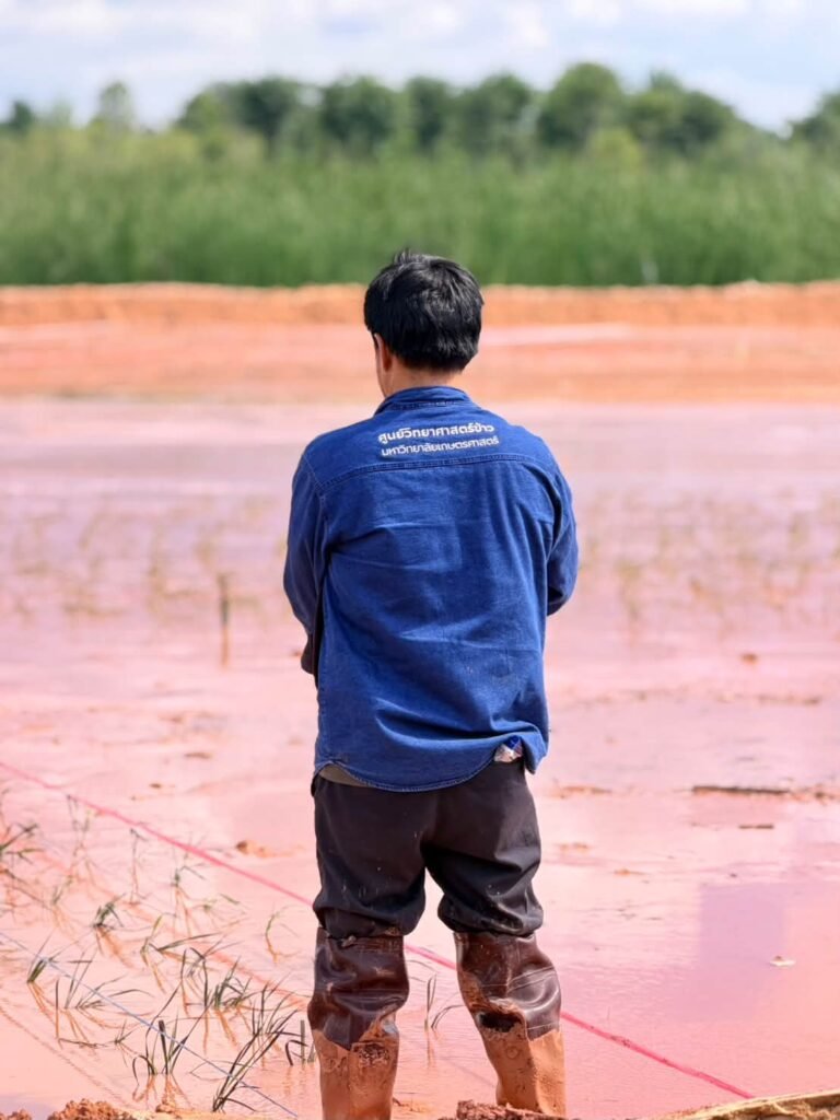 🌾 ลุยโคลน! ปลูกข้าว เตรียมพร้อมสู่พืชสวนโลกอุดรธานี 2569