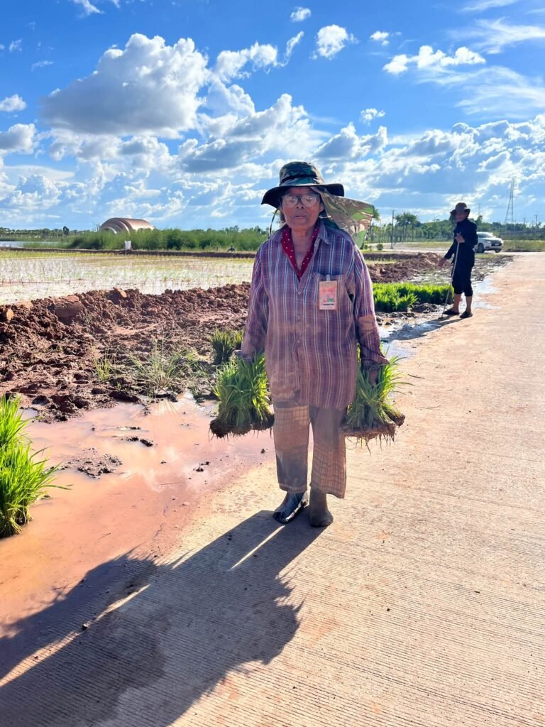 ศูนย์วิทยาศาสตร์ข้าว สร้าง “ศิลปะบนผืนนา” 🌾 ในงานพืชสวนโลก 2569 จังหวัดอุดรธานี 🌎 จากข้าวสรรพสี และพันธุ์ต่างๆ ที่ศูนย์วิทยาศาสตร์ข้าวไ…