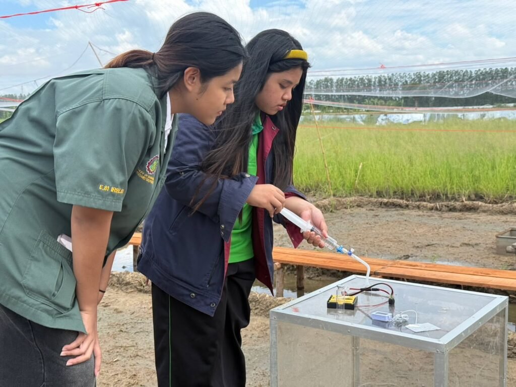 ศูนย์วิทยาศาสตร์ข้าวต้อนรับนิสิตวิศวกรรมชลประทาน มก.กพส. ลงพื้นที่ศึกษาเทคนิคการเก็บก๊าซเรือนกระจกในนาข้าว