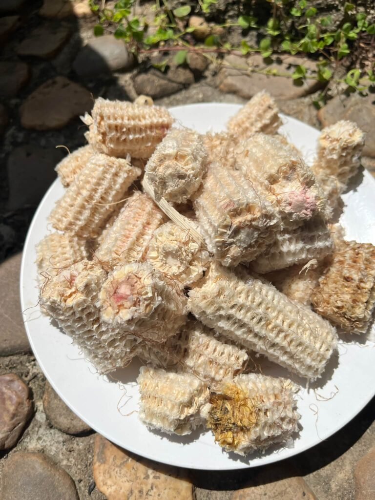 🌾 792 กิโลเมตร…กับภารกิจ “ข้าวคลีนแอร์” บนแผ่นดิน “แม่ฮ่องสอน”