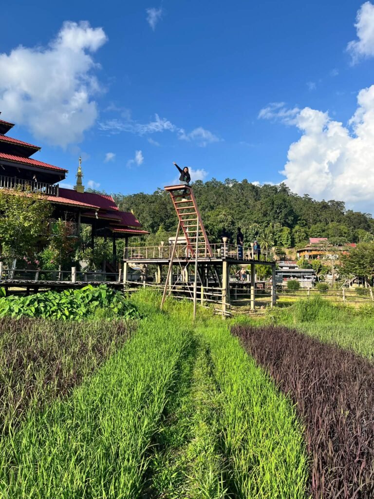 จาก “ศาสตร์แห่งแผ่นดิน” สู่การท่องเที่ยวสร้างคุณค่า